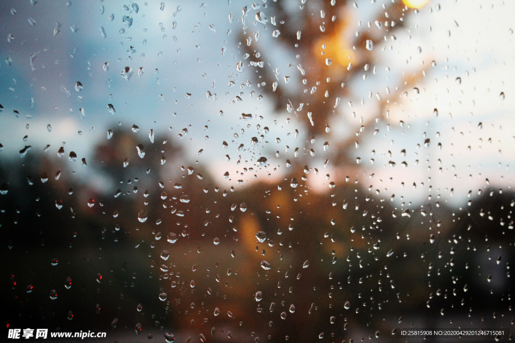 雨中美景水珠积水图片