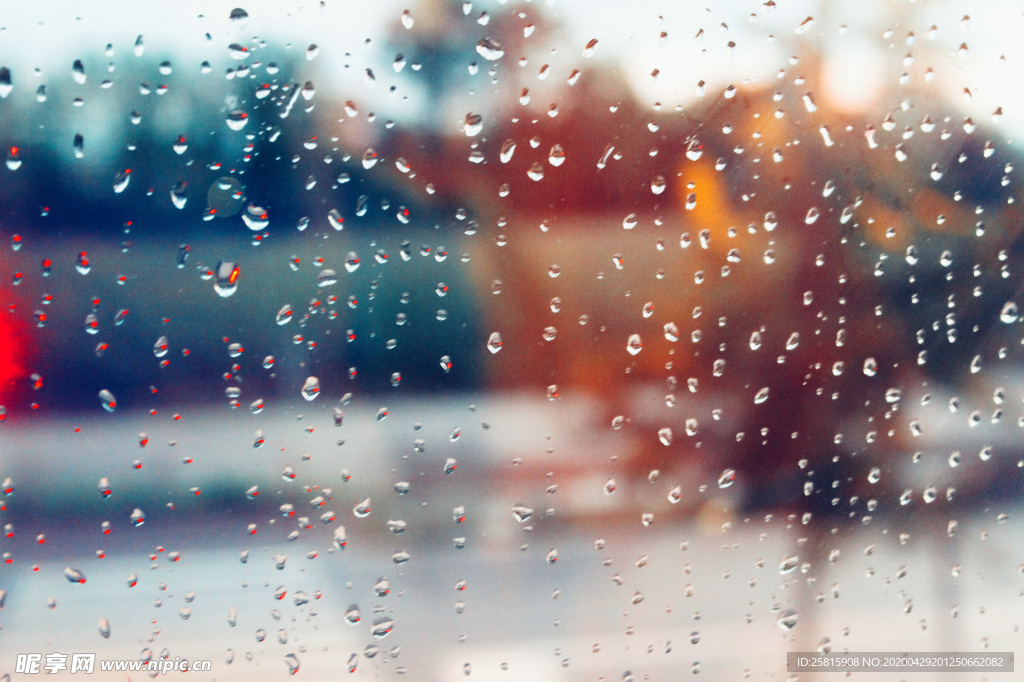 雨中美景水珠积水图片