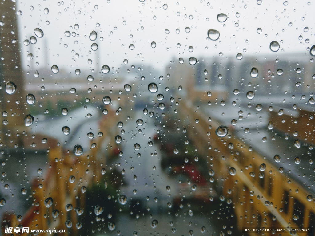 雨中美景水珠积水图片