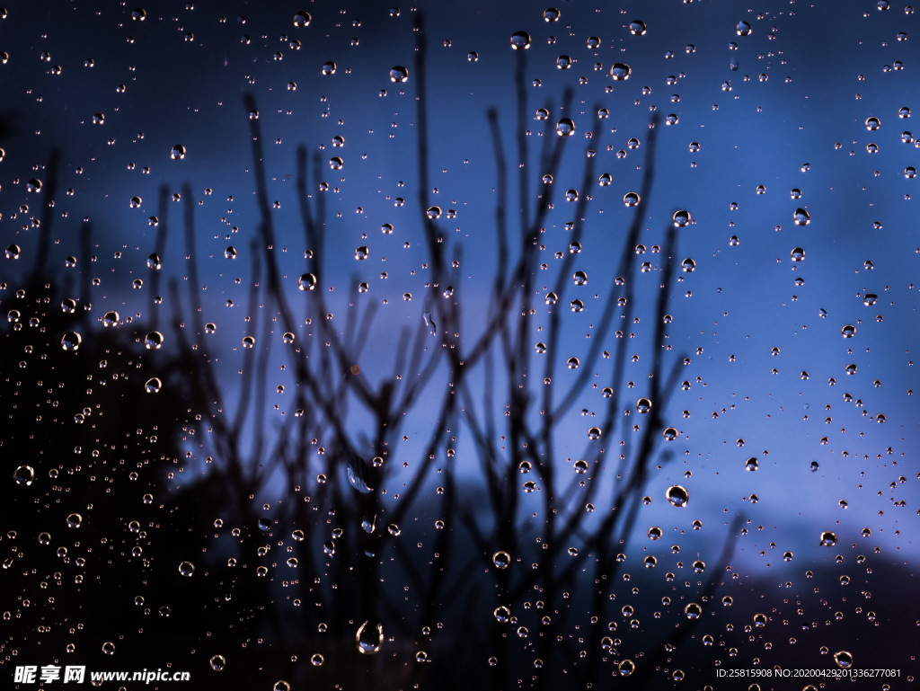 雨中美景水珠积水图片