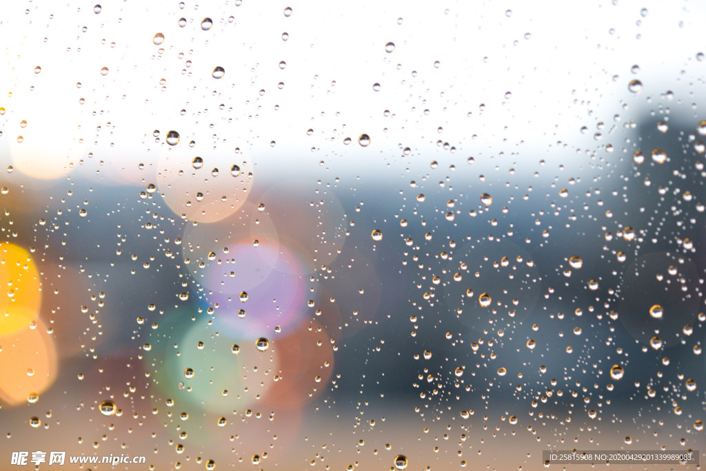 雨中美景水珠积水图片