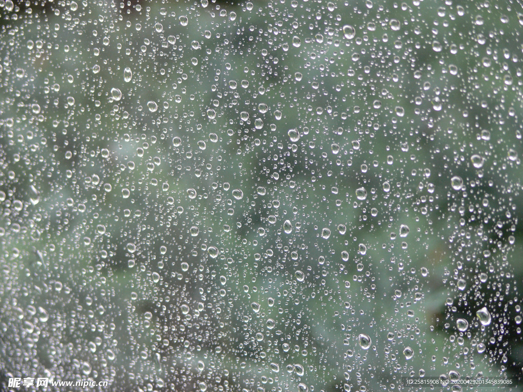 雨中美景水珠积水图片