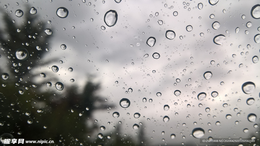 雨中美景水珠积水图片