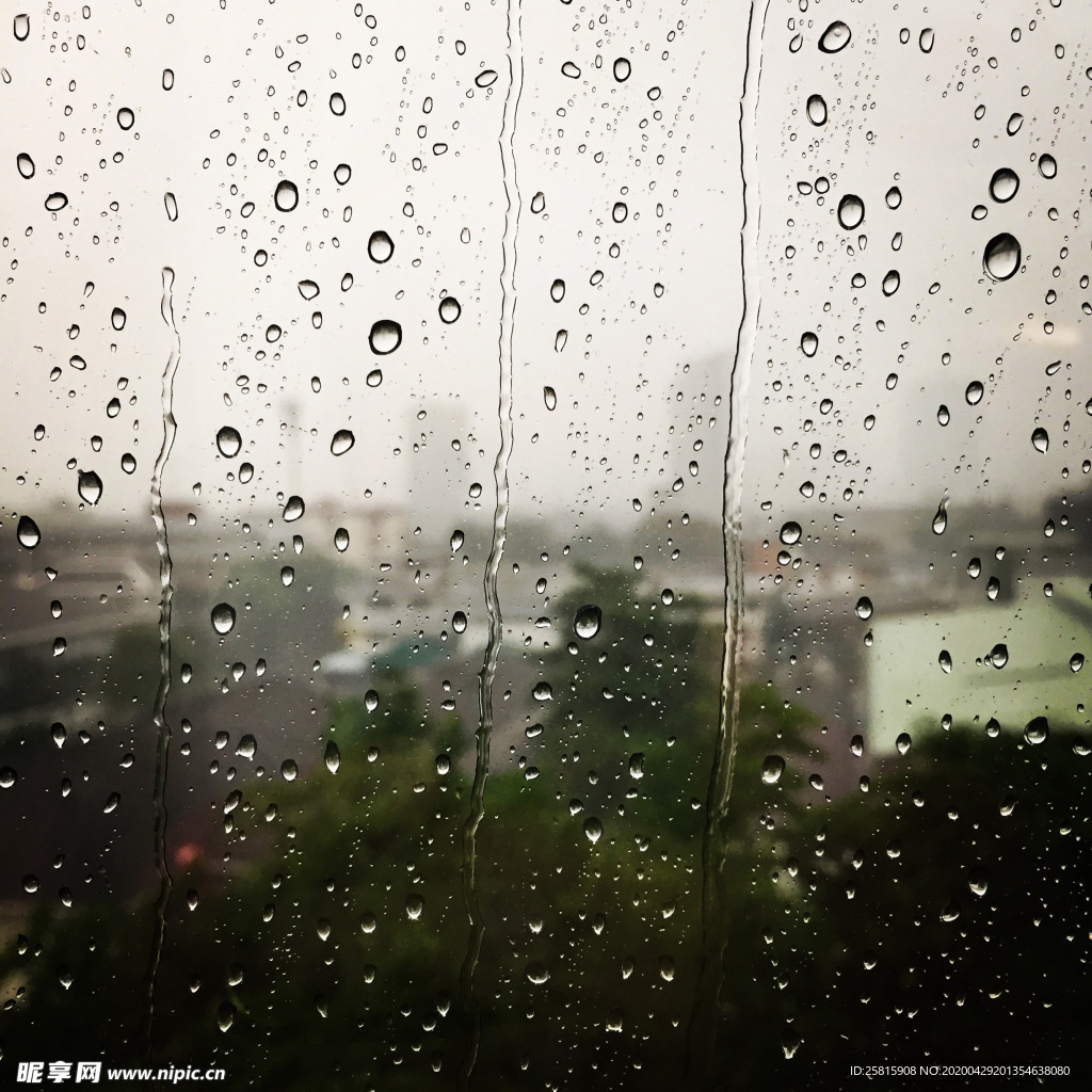 雨中美景水珠积水图片