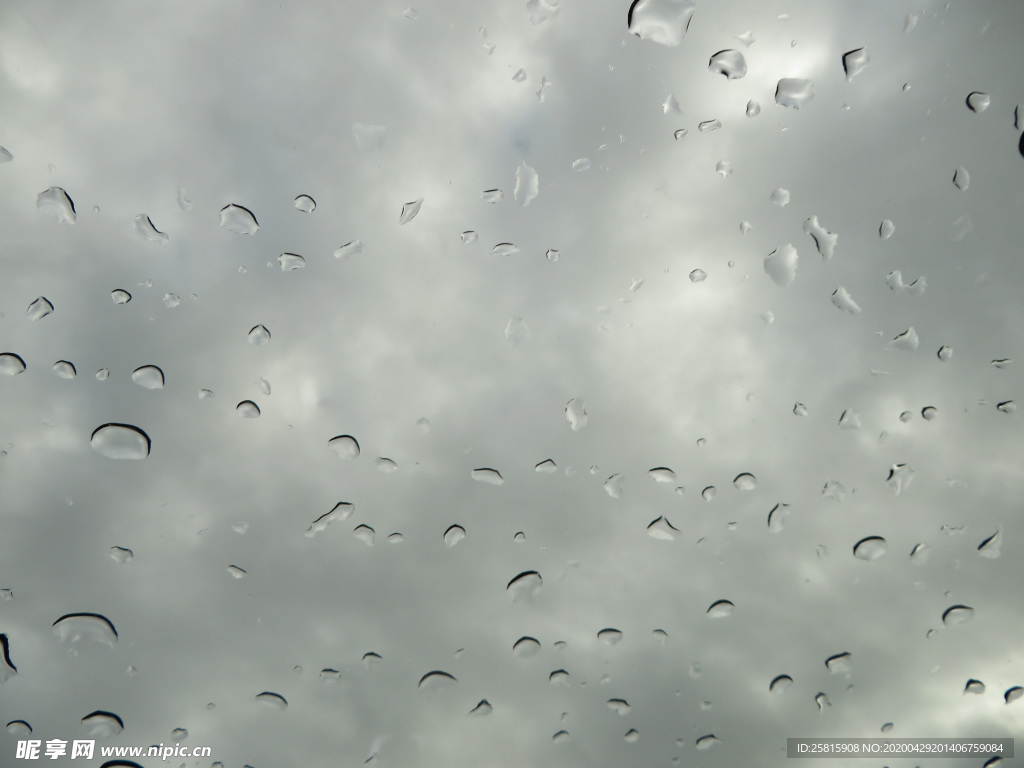 雨中美景水珠积水图片