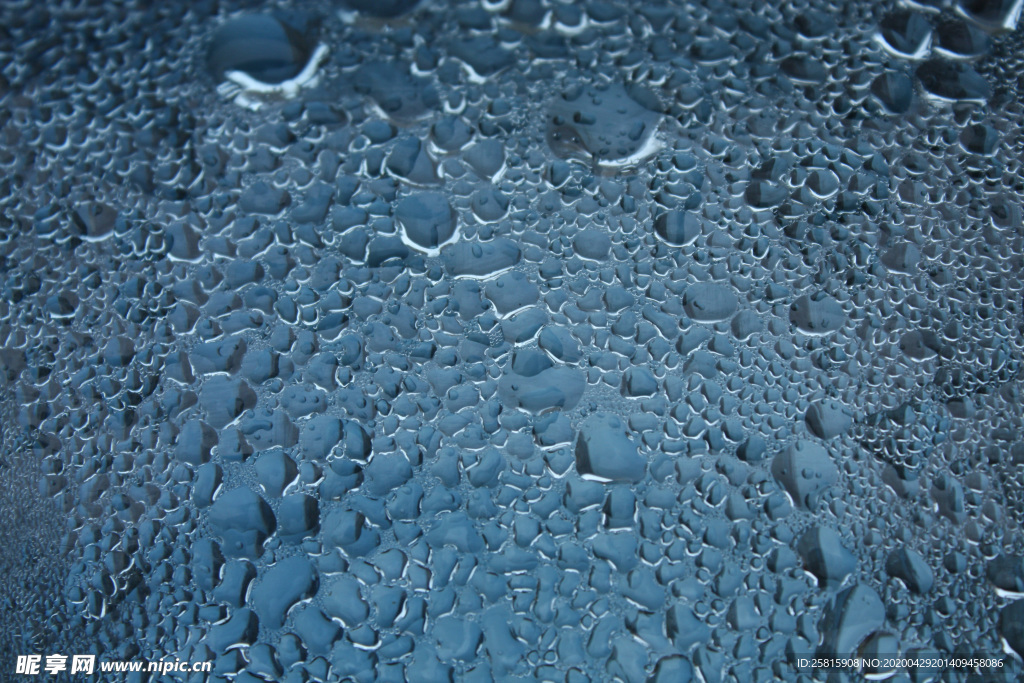 雨中美景水珠积水图片