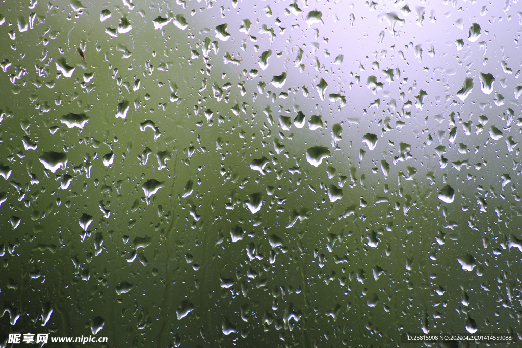 雨中美景水珠积水图片