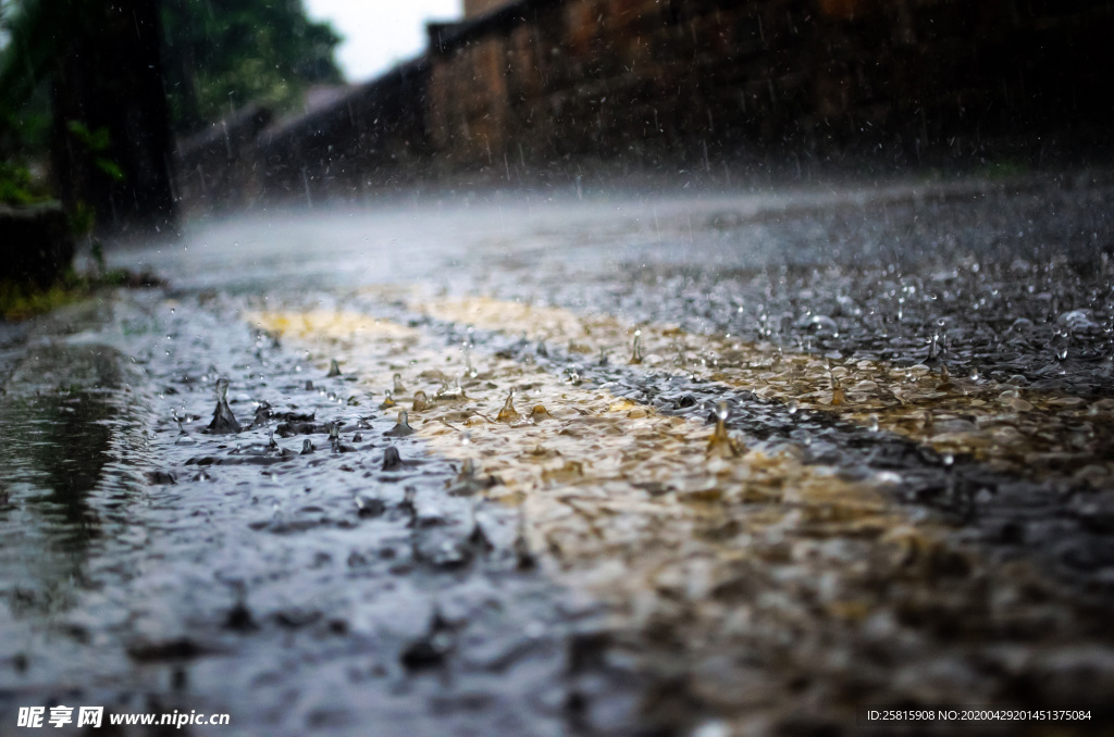 雨中美景水珠积水图片