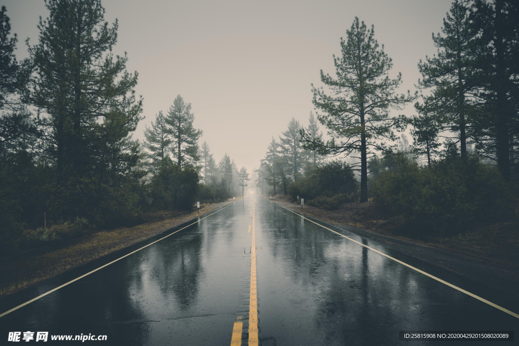 雨中美景水珠积水图片