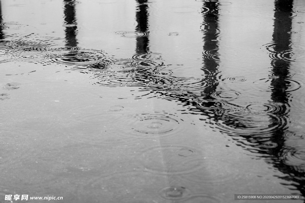 雨中美景水珠积水图片