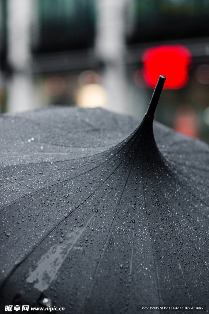 雨中美景水珠积水图片