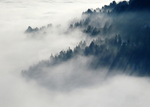 山林中的雾气图片