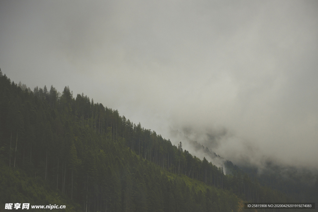山林中的雾气图片