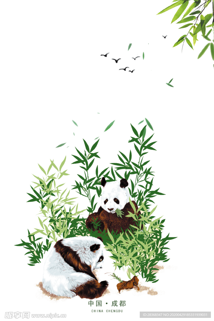 竹子 竹叶