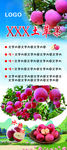 苹果展架