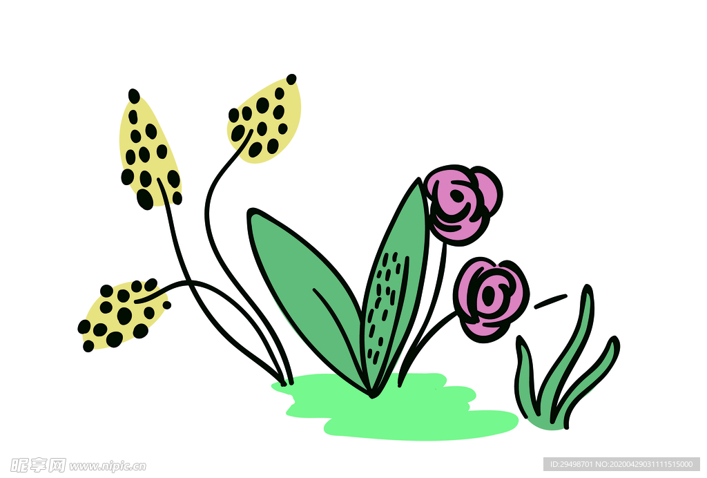 植物