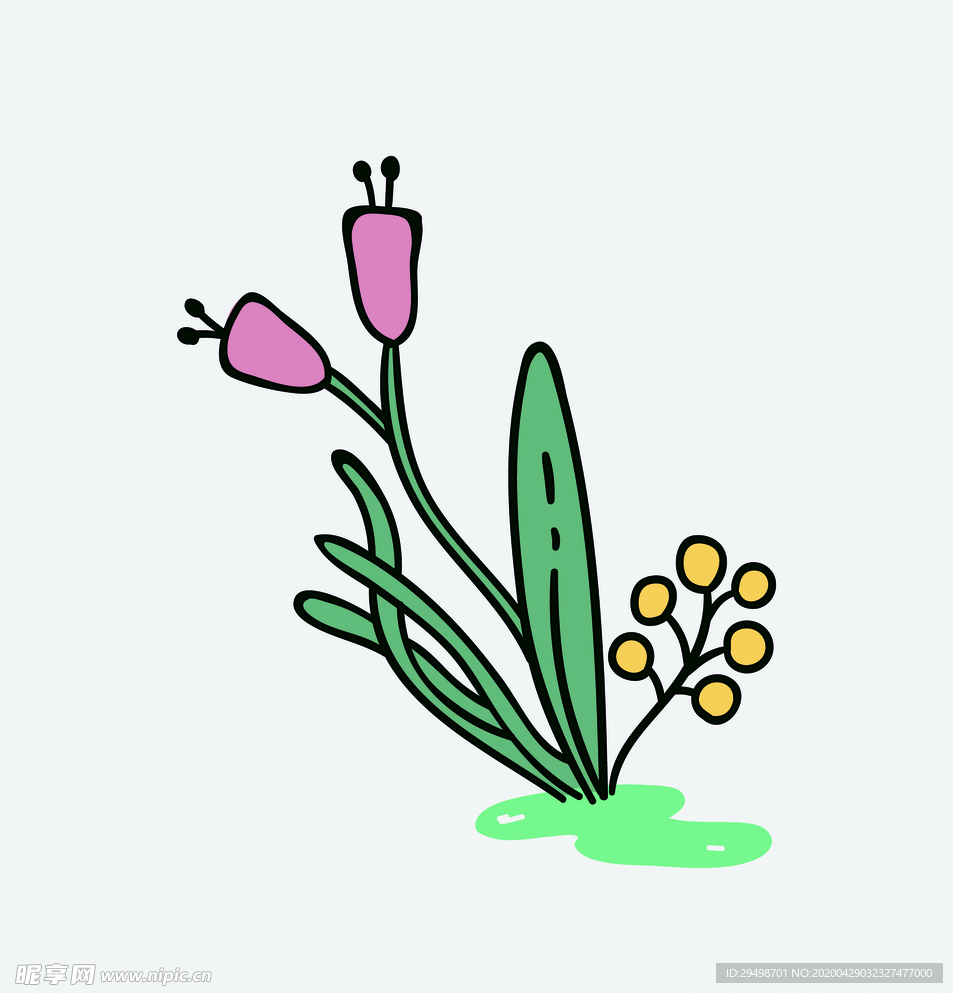 植物