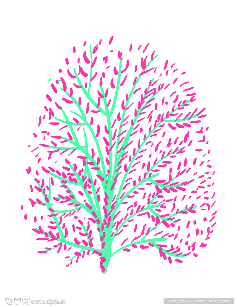 花枝