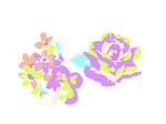 花朵