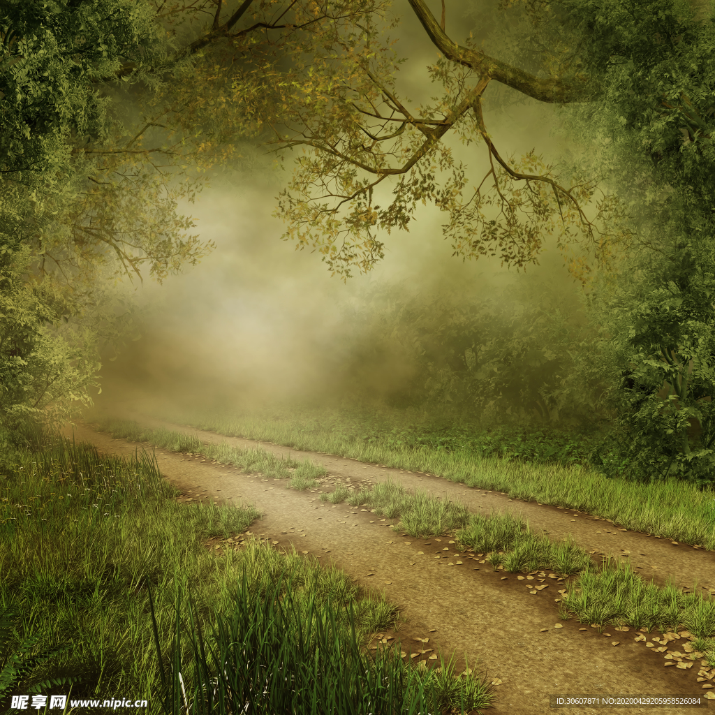道路