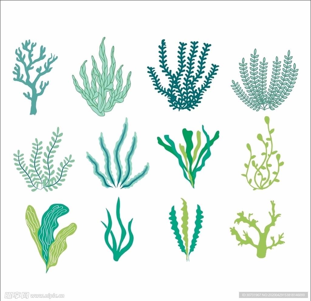 水草