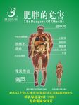 减肥广告 减肥海报 肥胖的危害