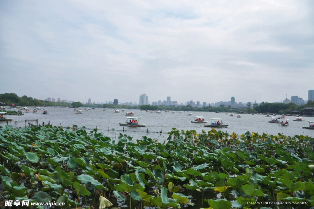 大明湖风光