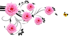 玫瑰花