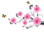 玫瑰花