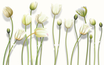 花