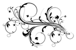 花纹