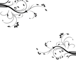 花纹
