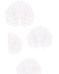 花纹