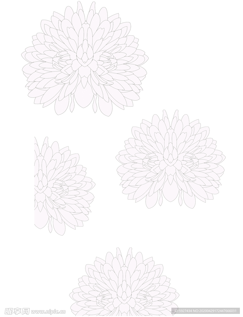 花纹