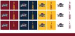 NBA 骑士 2016年 冠军