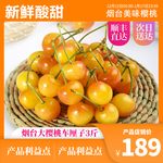樱桃