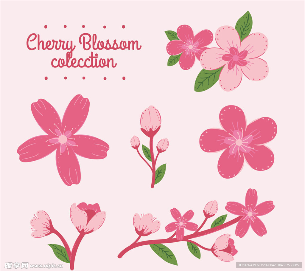 粉色樱花和花枝矢量素材