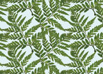 植物叶子