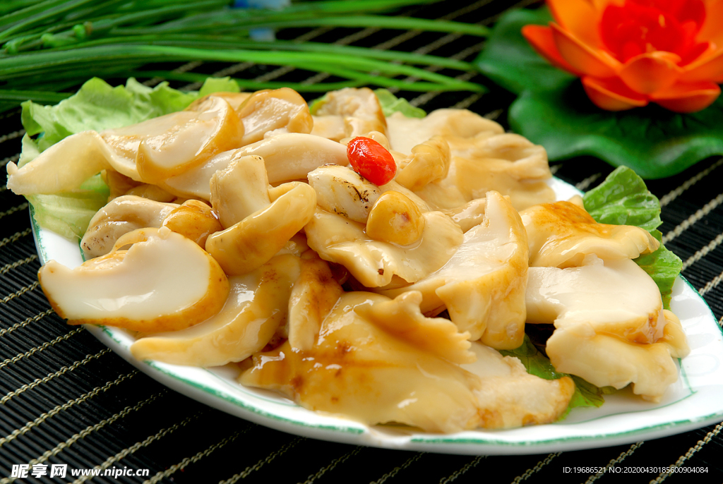 牛肝菌