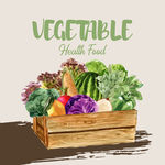 蔬菜 手绘蔬菜 美食 蔬菜插画