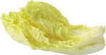 白菜素材