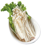 蘑菇素材