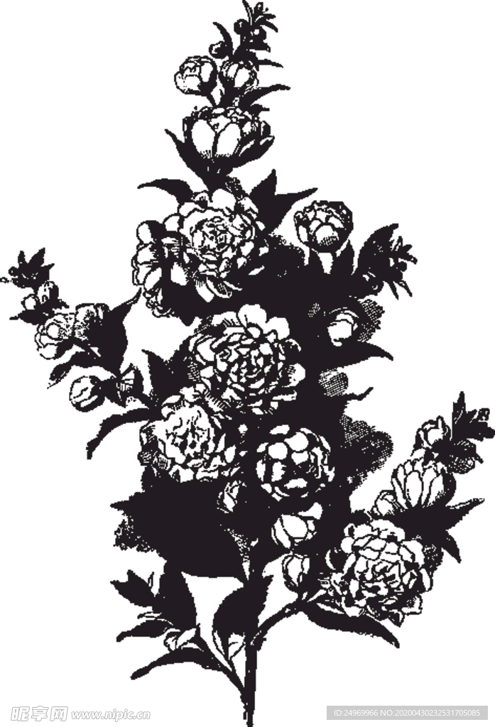 线描植物