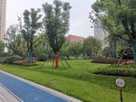 小区 绿化 造景