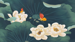 荷花插画
