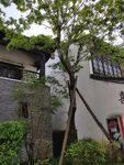 文渊狮城