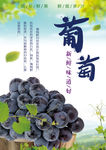 葡萄