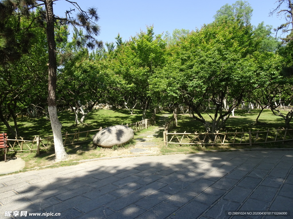 公园