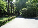 公园
