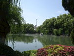公园